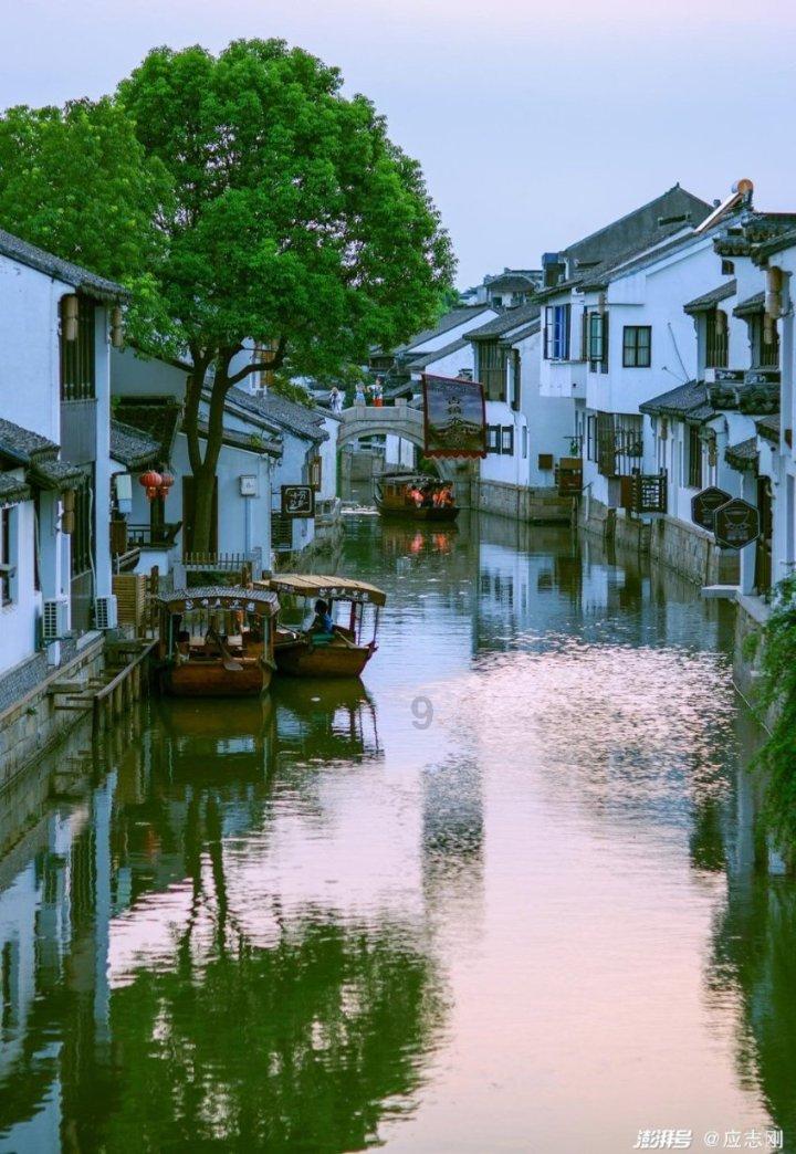 虫虫助手下载